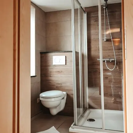 샬레 Le Vieux Sanglier - 41 Pers - *