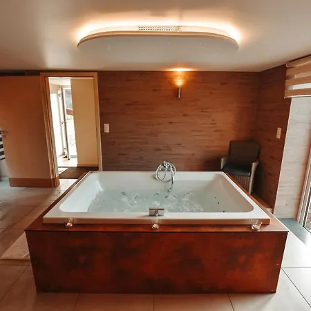 Le Vieux Sanglier - 41 Pers - Malmedy