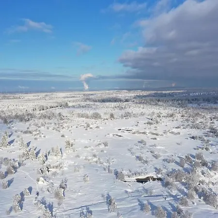 Le Vieux Sanglier - 41 Pers - Alpehytte *