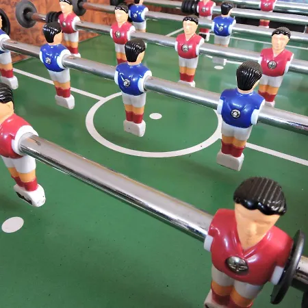 Le Vieux Sanglier - 41 Pers - Alpehytte *