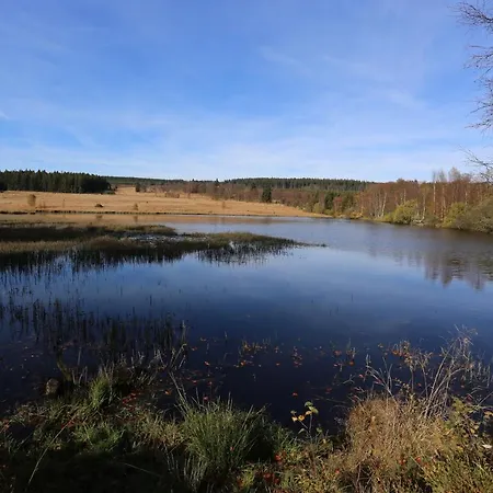 Le Vieux Sanglier - 41 Pers -