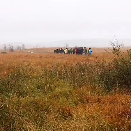 Le Vieux Sanglier - 41 Pers - Alpehytte *