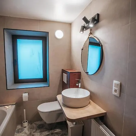 샬레 Le Vieux Sanglier - 41 Pers - *