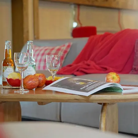 Chalet Le Vieux Sanglier - 41 Pers - *