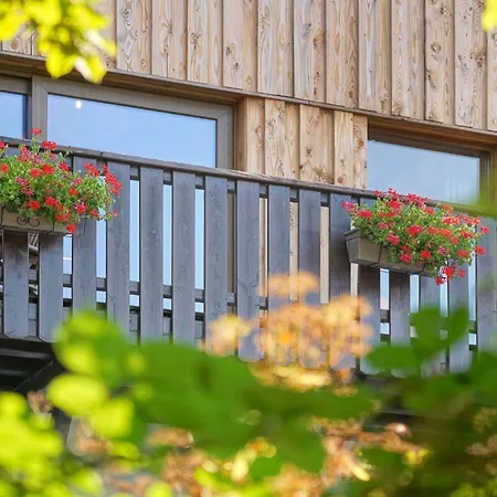 Le Vieux Sanglier - 41 Pers - Chalet Malmedy