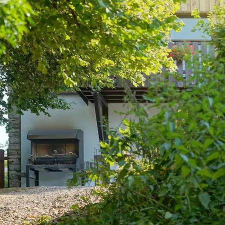 Le Vieux Sanglier - 41 Pers - Chalet *